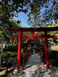 神様に“山そのもの”を祀るという、ちょっと異次元な神社🇯🇵✈️🌎