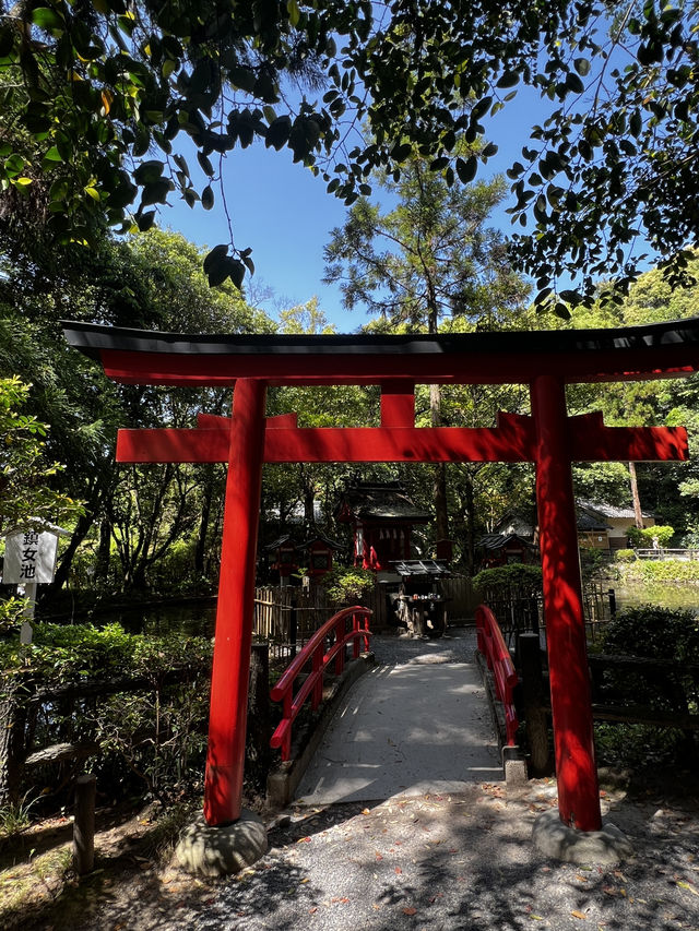 神様に“山そのもの”を祀るという、ちょっと異次元な神社🇯🇵✈️🌎