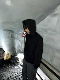 그린델발트에서 융프라우까지, 알프스가 준 선물-스위스-