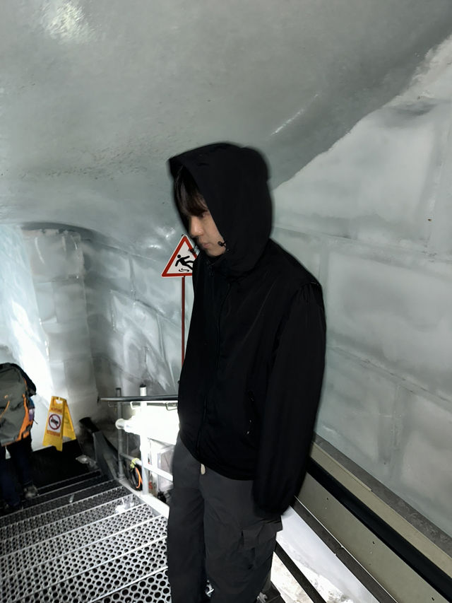 그린델발트에서 융프라우까지, 알프스가 준 선물-스위스-