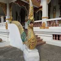 วัดป่าพุทธคยา Watpa India 