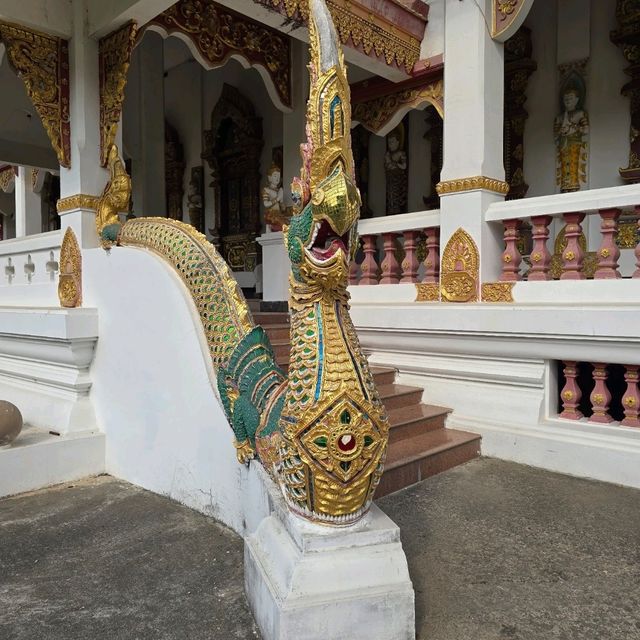 วัดป่าพุทธคยา Watpa India 
