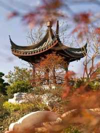 Binjiang Forest Park – Phase II: A Tranquil Escape in Shanghai’s North