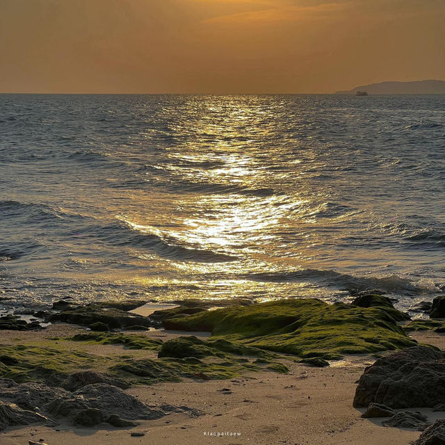 Pattaya Beach
