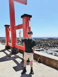 美麗的宮崎青島