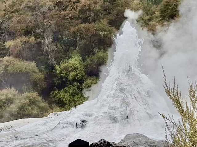 Wai-O-Tapu Thermal Wonderland地熱世界巡禮