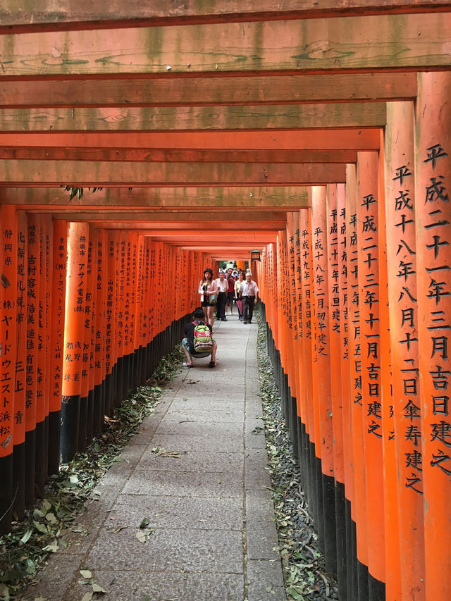 ⛩️ 伏見稻荷大社｜穿越千本鳥居的神秘與靈氣