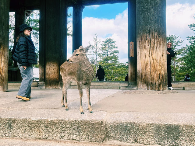 [東大寺] 1300年の祈りが息づく、大仏のふるさと