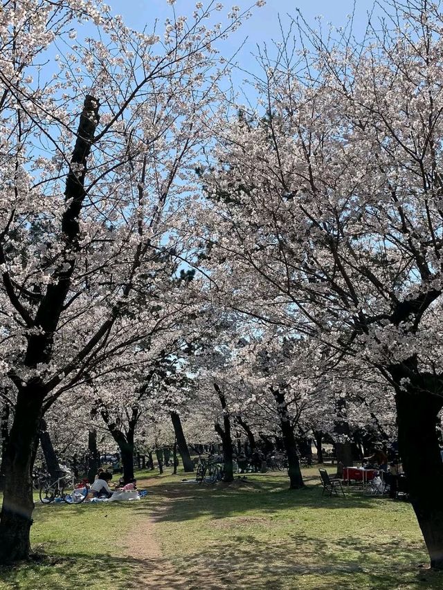Hamadera Park
