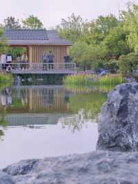🌼Flower Spotting Guide – Shanghai Expo Cultural Park Edition🌼