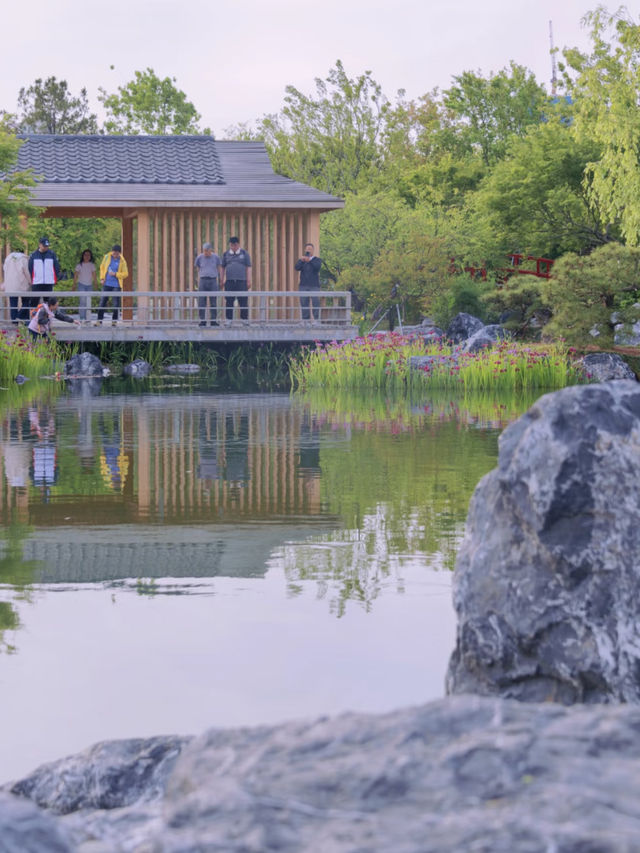 🌼Flower Spotting Guide – Shanghai Expo Cultural Park Edition🌼