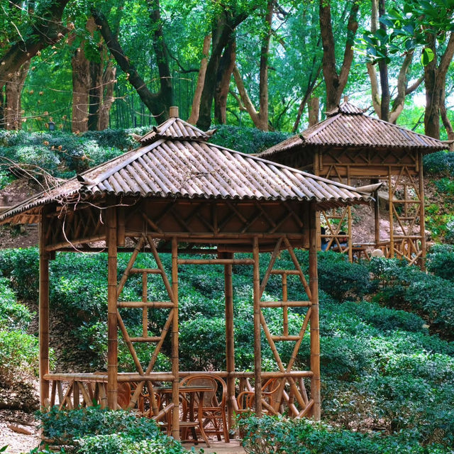 ​滿庭芳郊野花園 - 綠油油的世界