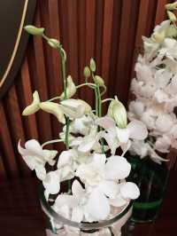 Elegant Escapes: Grand Luxury at Sunway Resort Hotel