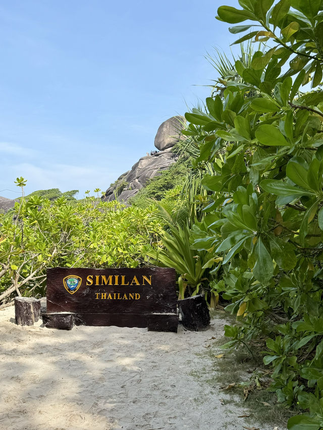 여기가 지상낙원아닌가요...?🏝️