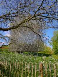 Royal Botanic Gardens – London’s Autumn Masterpiece