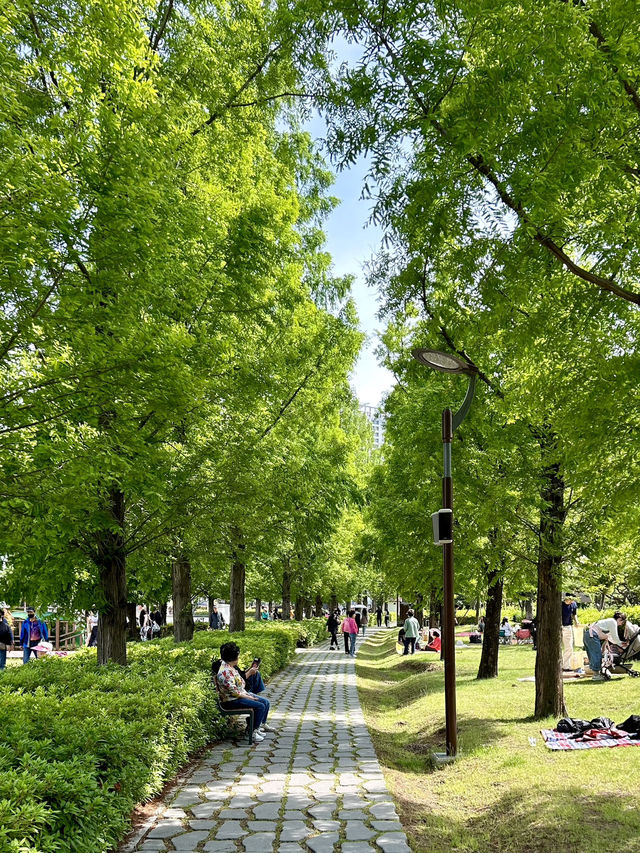 가족과 함께하는 도심 속 힐링, 부산시민공원🌿