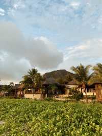 Unforgettable Luxury Escape at The St. Regis Le Morne Resort in Mauritius
