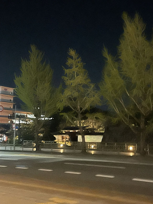 Weekend in Wakayama, Japan 
