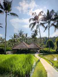 🌞 Pure Joy in the Jungle – Fun & Bliss at Four Seasons Ubud