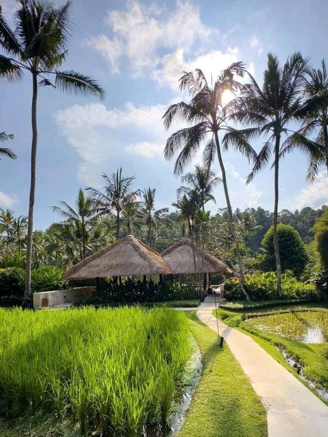 🌞 Pure Joy in the Jungle – Fun & Bliss at Four Seasons Ubud