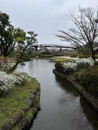 🌸【雨中偕樂園．櫻花靜賞漫旅】探訪日本三大名園之一｜水戶最值得造訪的春日秘境