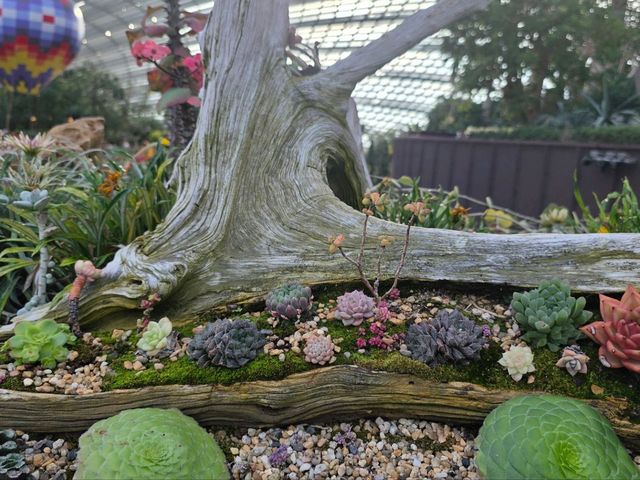 Flower Dome a Bloom for Every Season