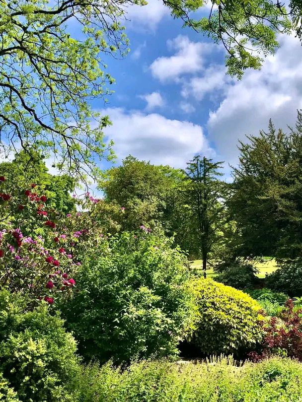 Lyme – Where History Meets Hills in Cheshire