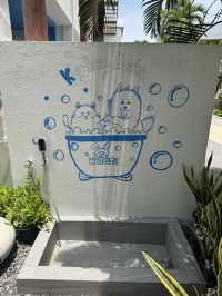 เที่ยวหัวหินพาน้องแมวพักโรงแรม PetFriendly 