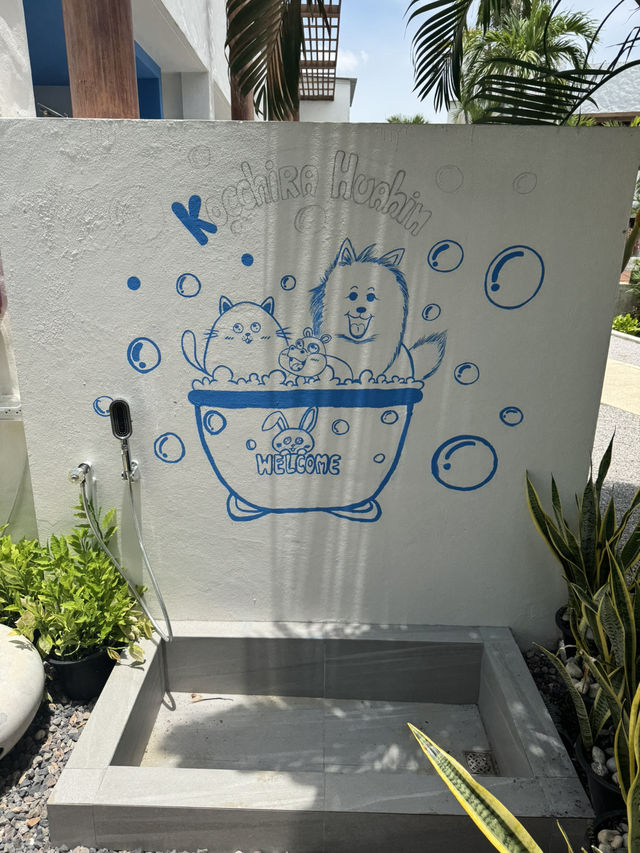 เที่ยวหัวหินพาน้องแมวพักโรงแรม PetFriendly 