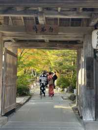 【宮城】グルメ+絶景を欲張りに満喫✨️ 仙台女子旅プラン💚