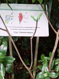 Flora in Singapore Zoo