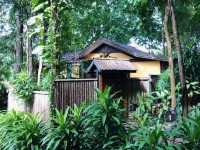 รีสอร์ทกลางป่า Home Phutoey River Kwai Resort