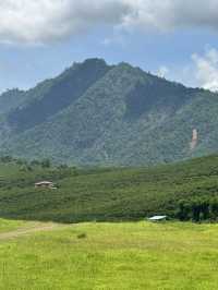 เขื่่อนบ้านลาน จ.เชียงใหม่ ⛰️🌳🌦️🐄
