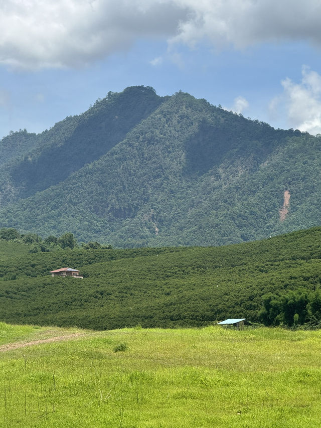 เขื่่อนบ้านลาน จ.เชียงใหม่ ⛰️🌳🌦️🐄