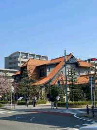 Nagoya Castle: A Symbol of Samurai Power and Prestige