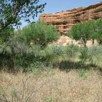 Hiking the Wild Sculpted Canyons of Canyonlands