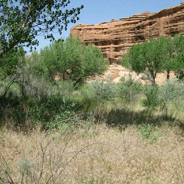 Hiking the Wild Sculpted Canyons of Canyonlands