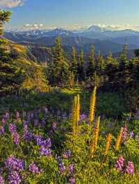 The Pacific Northwest Trail – USA