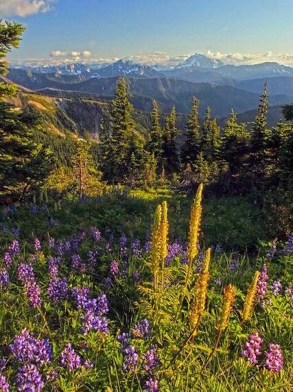 The Pacific Northwest Trail – USA