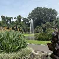 Kebun Raya Bogor (Bogor Botanical Gardens) — Super High Value for a Day Trip from Jakarta! 🌿🌸