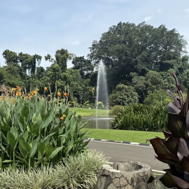 Kebun Raya Bogor (Bogor Botanical Gardens) — Super High Value for a Day Trip from Jakarta! 🌿🌸
