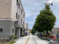 Otaru Canal (คลองโอตารุ) Hokkaido Japan