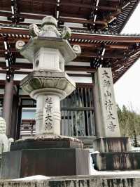 Winter Wonders in Fukui – Temples, Dinosaurs & Peaceful Shrines 