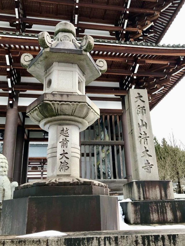 Winter Wonders in Fukui – Temples, Dinosaurs & Peaceful Shrines 