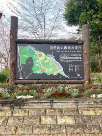 ┃兵庫加古川┃日岡山公園の桜2025