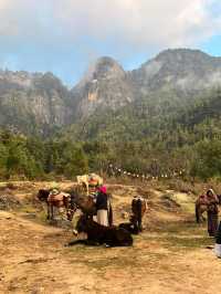 Tiger’s Nest Monastery – A Sacred Trek That Tests Your Limits