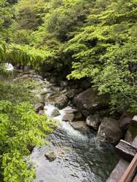 【屋久島】パワーを頂く旅