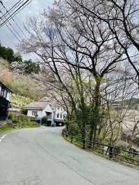 九州黑川溫泉