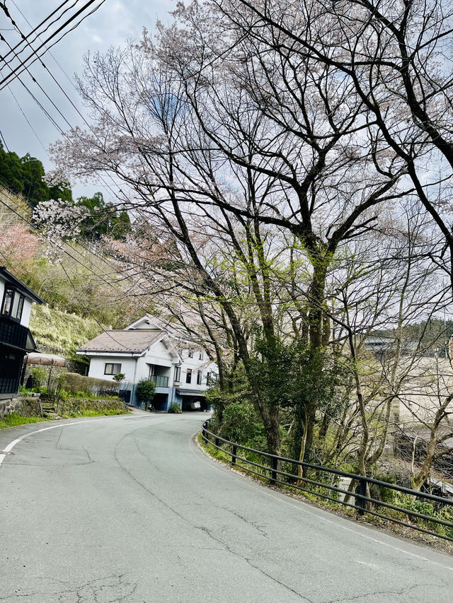 九州黑川溫泉