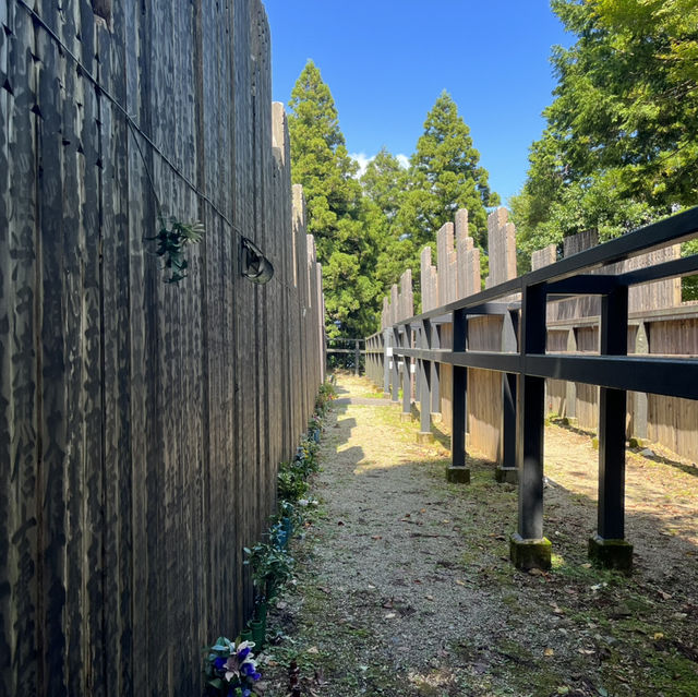 【朝熊山⛰️から宇治岳道】　三重